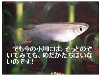 つながる ひろがる むすばれる つながる ひろがる むすばれる